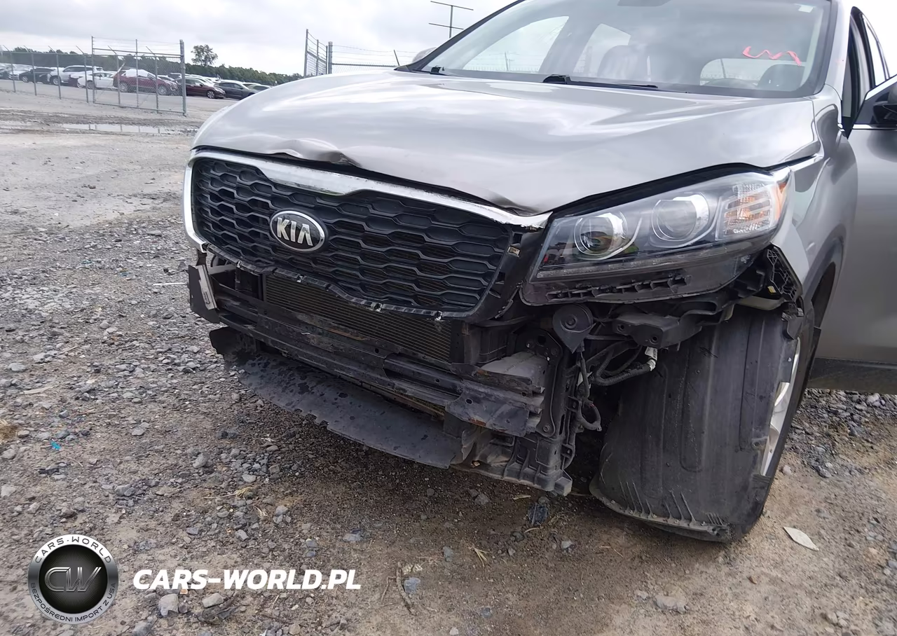 2019 Kia Sorento 2.4L Lx VIN:5XYPG4A30KG556462 - 6