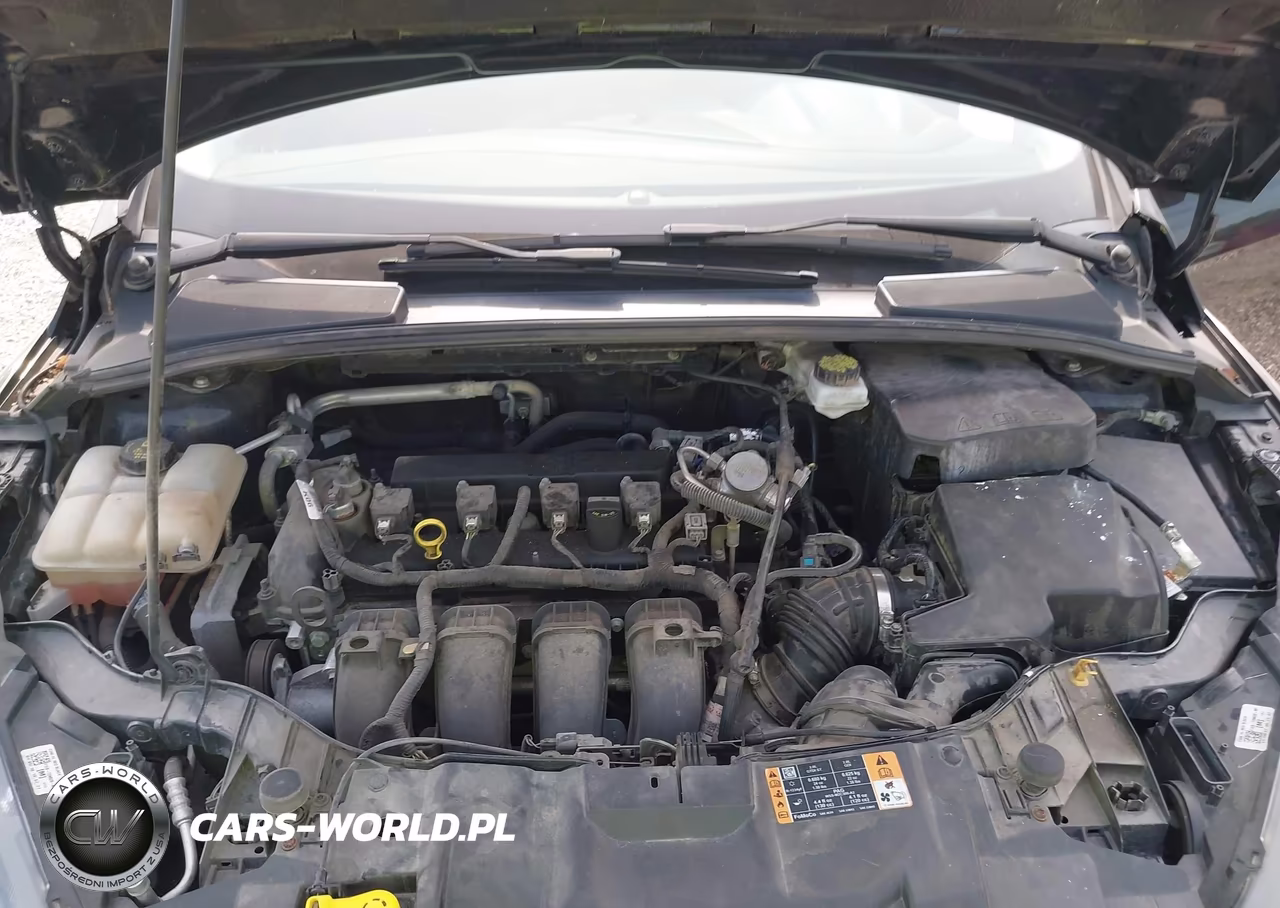 2018 Ford Focus Sel VIN:1FADP3M24JL223397 - 10