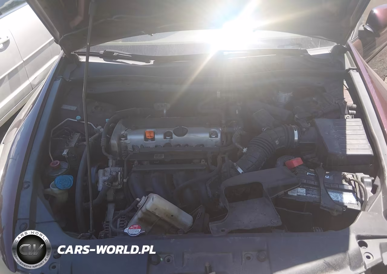 2010 Honda Accord 2.4 Lx VIN:1HGCP2F33AA003042 - 10