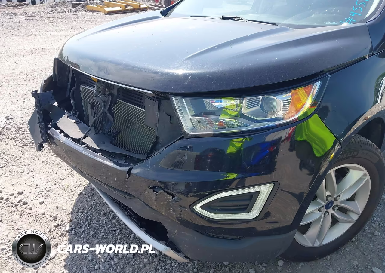 2017 Ford Edge Sel VIN:2FMPK3J89HBC67030 - 6