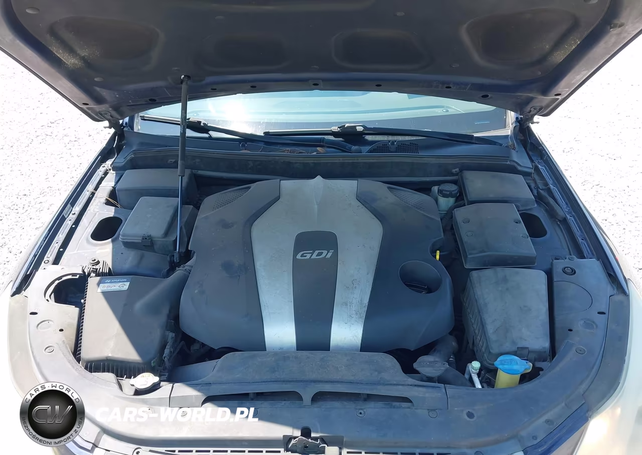 2013 Hyundai Genesis 3.8 VIN:KMHGC4DD0DU223062 - 10