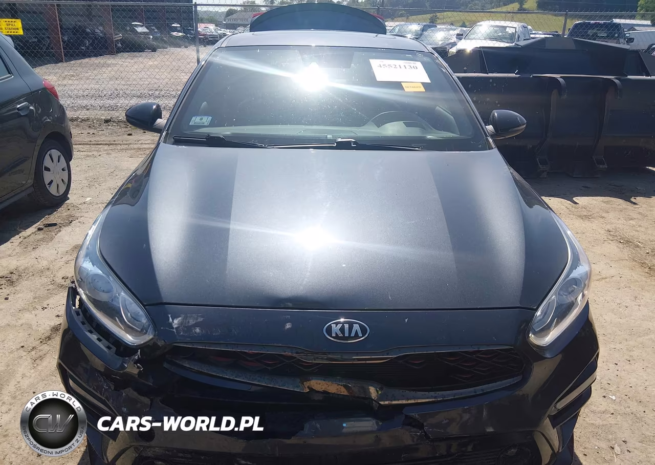 2021 Kia Forte Gt-Line VIN:3KPF34AD0ME324542 - 12