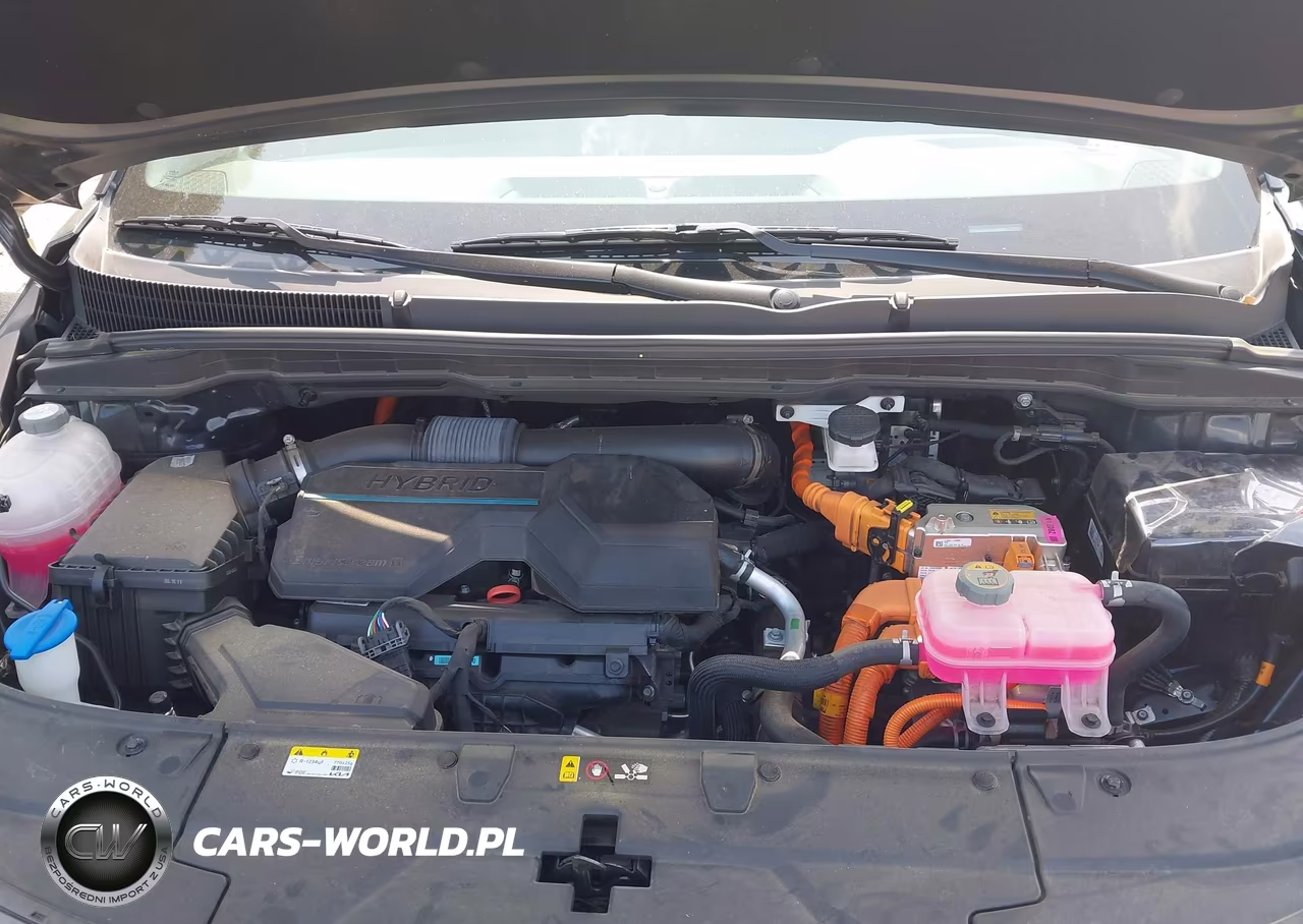 2025 Kia Carnival Mpv Hybrid Ex VIN:KNDNC5KA6S6039823 - 10