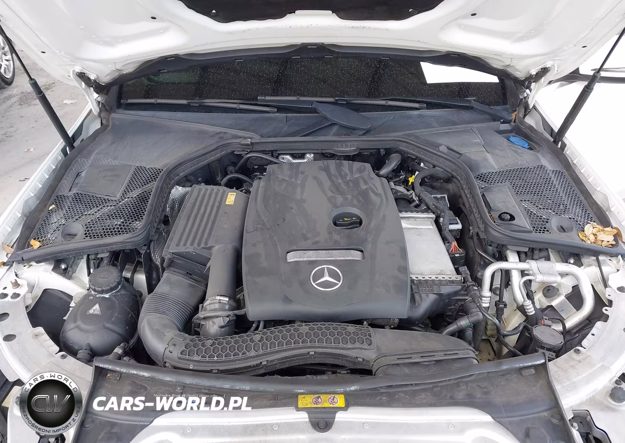 2018 Mercedes-Benz C 300 4Matic VIN:55SWF4KB8JU238324 - 10