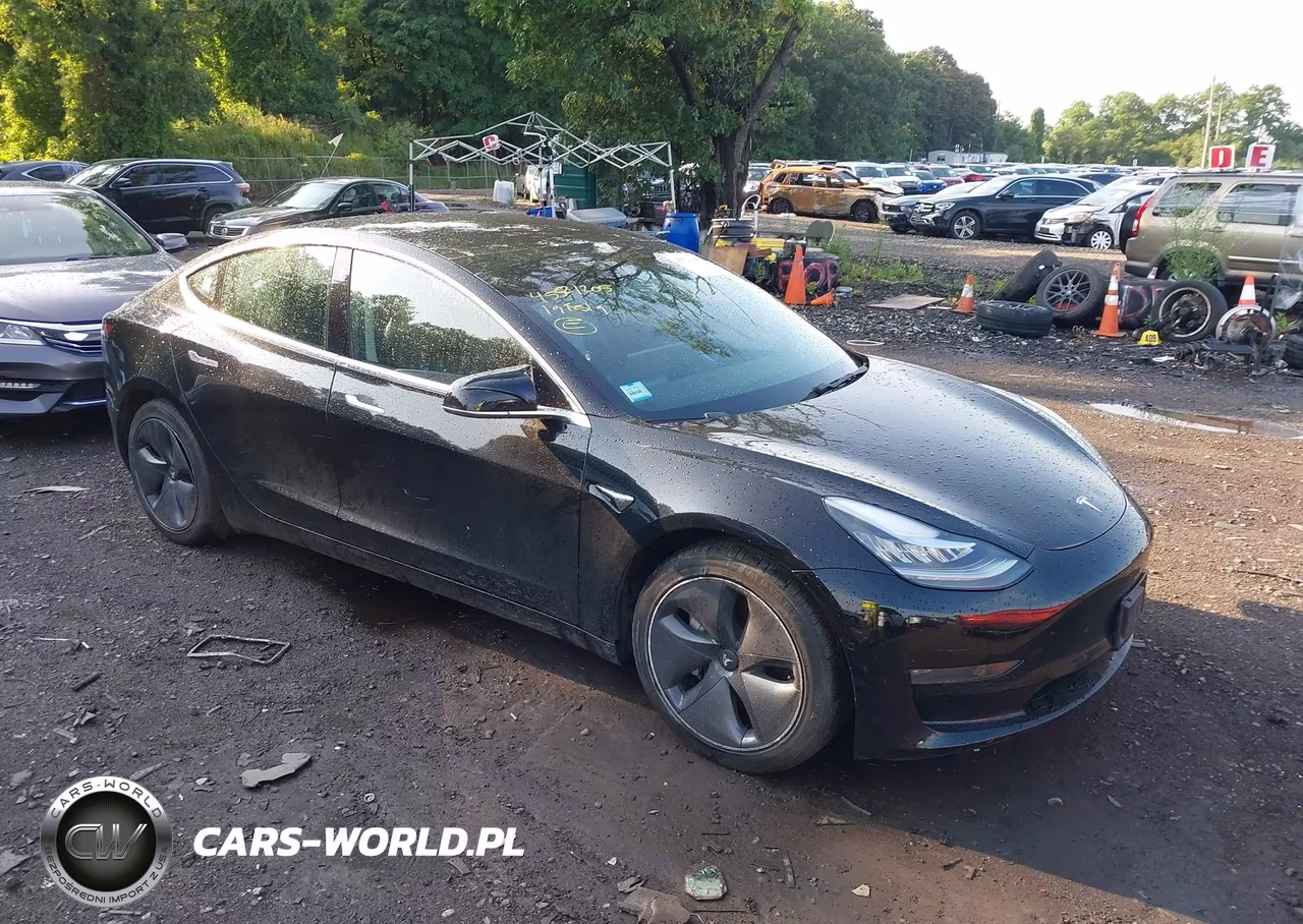 2019 Tesla Model 3 Long Range-Performance