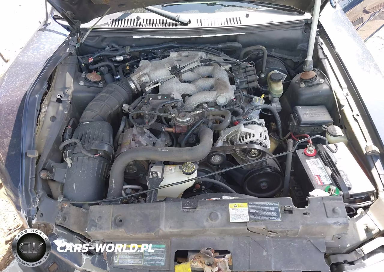 2003 Ford Mustang VIN:1FAFP444X3F400858 - 10