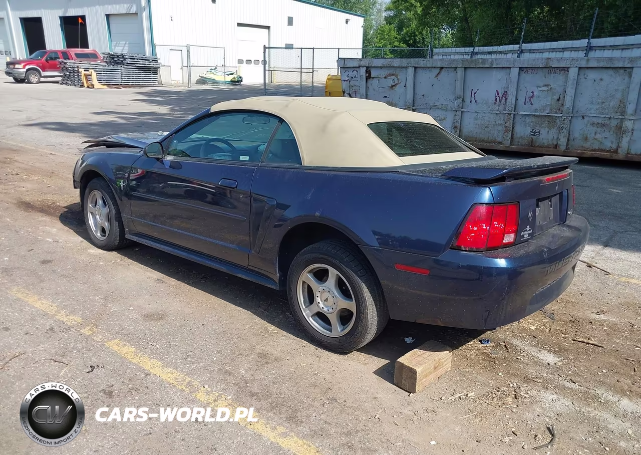 2003 Ford Mustang VIN:1FAFP444X3F400858 - 3