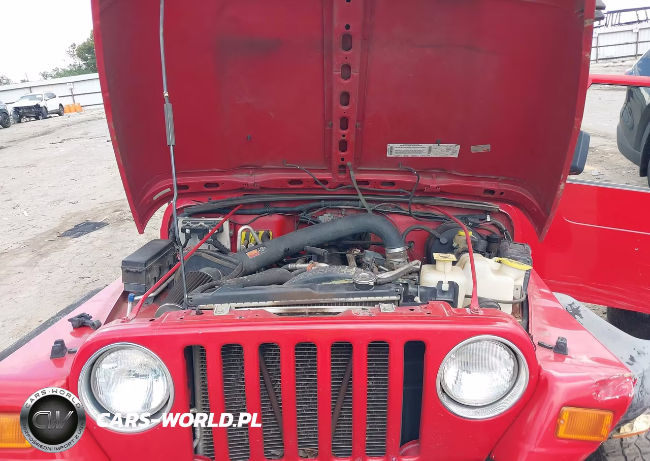 2000 Jeep Wrangler Sport VIN:1J4FA49S0YP804962 - 10