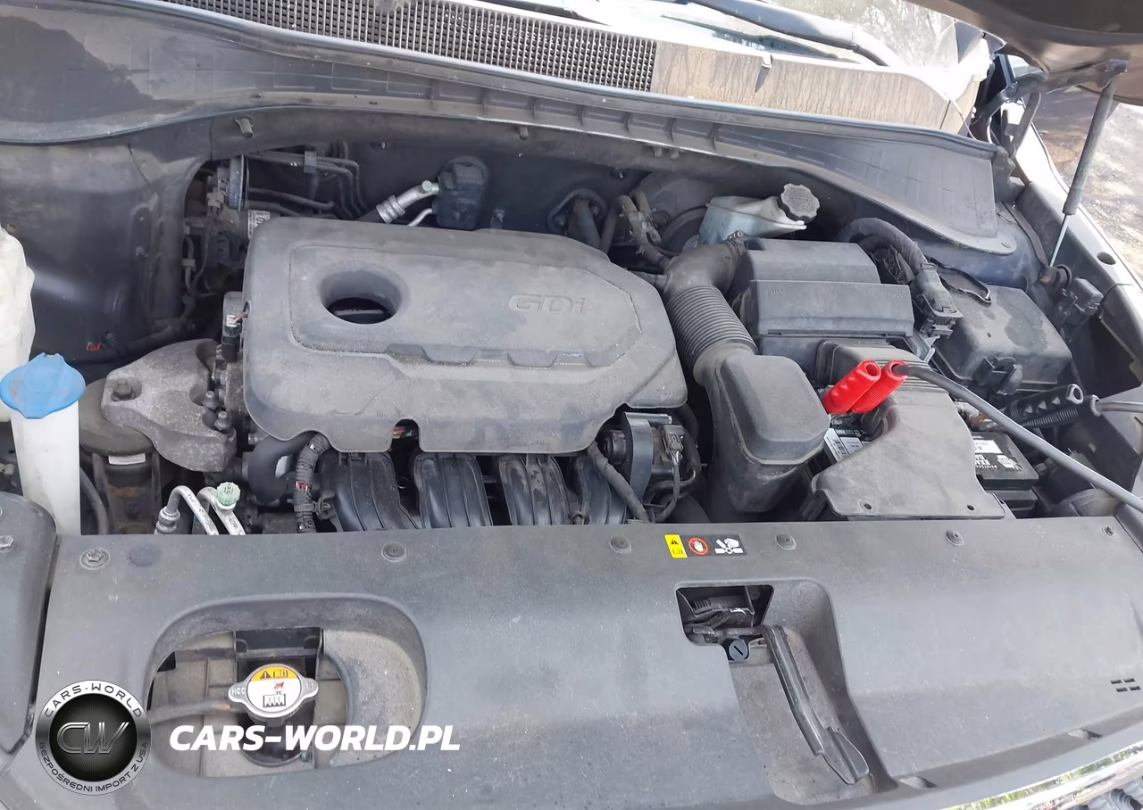 2016 Kia Sorento 2.4L Lx VIN:5XYPGDA36GG007369 - 10