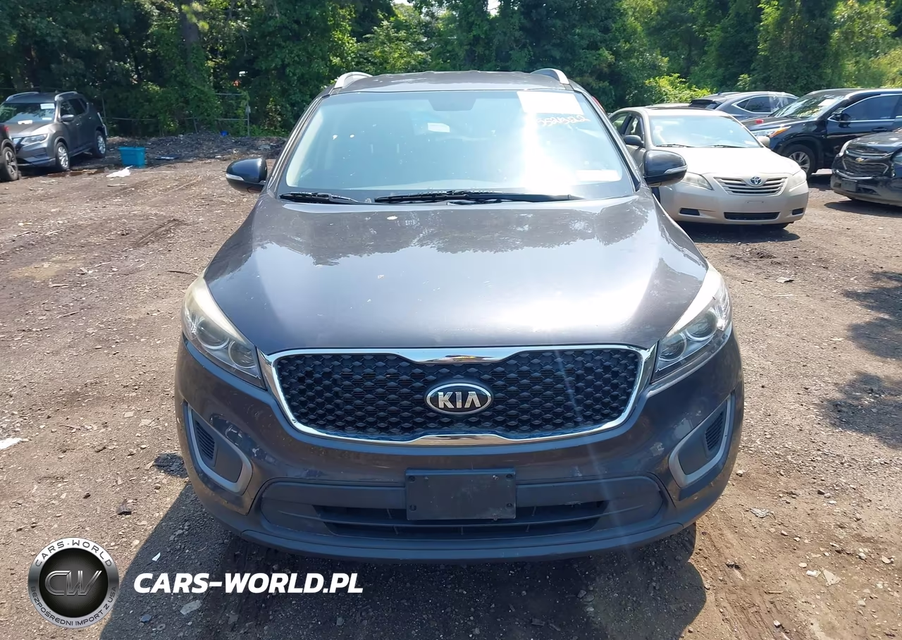 2016 Kia Sorento 2.4L Lx VIN:5XYPGDA36GG007369 - 12