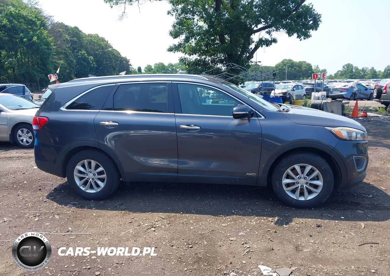 2016 Kia Sorento 2.4L Lx VIN:5XYPGDA36GG007369 - 13