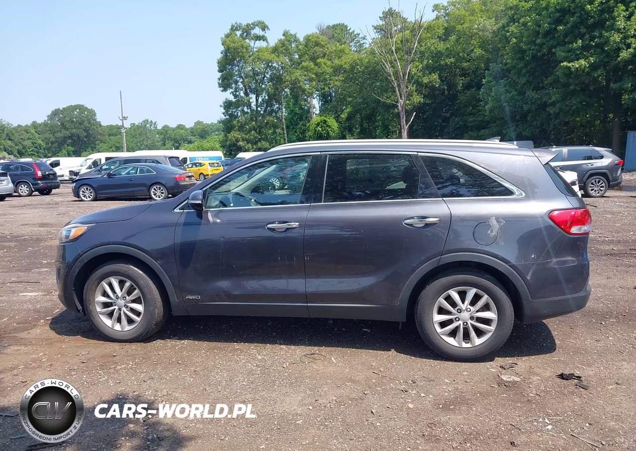 2016 Kia Sorento 2.4L Lx VIN:5XYPGDA36GG007369 - 14