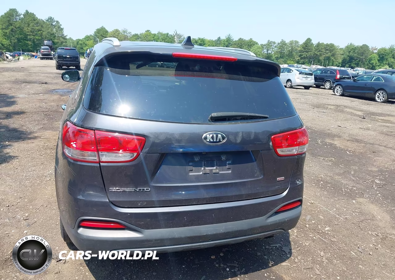 2016 Kia Sorento 2.4L Lx VIN:5XYPGDA36GG007369 - 16