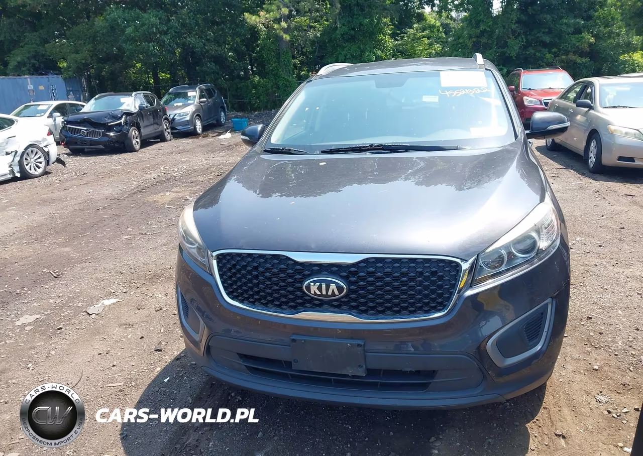 2016 Kia Sorento 2.4L Lx VIN:5XYPGDA36GG007369 - 6