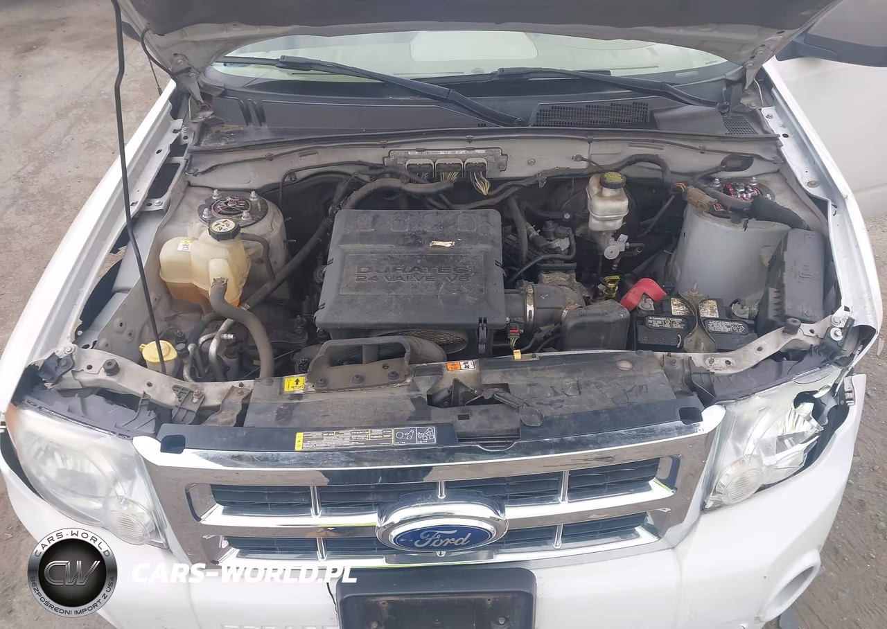 2011 Ford Escape Xlt VIN:1FMCU9DGXBKA60772 - 10