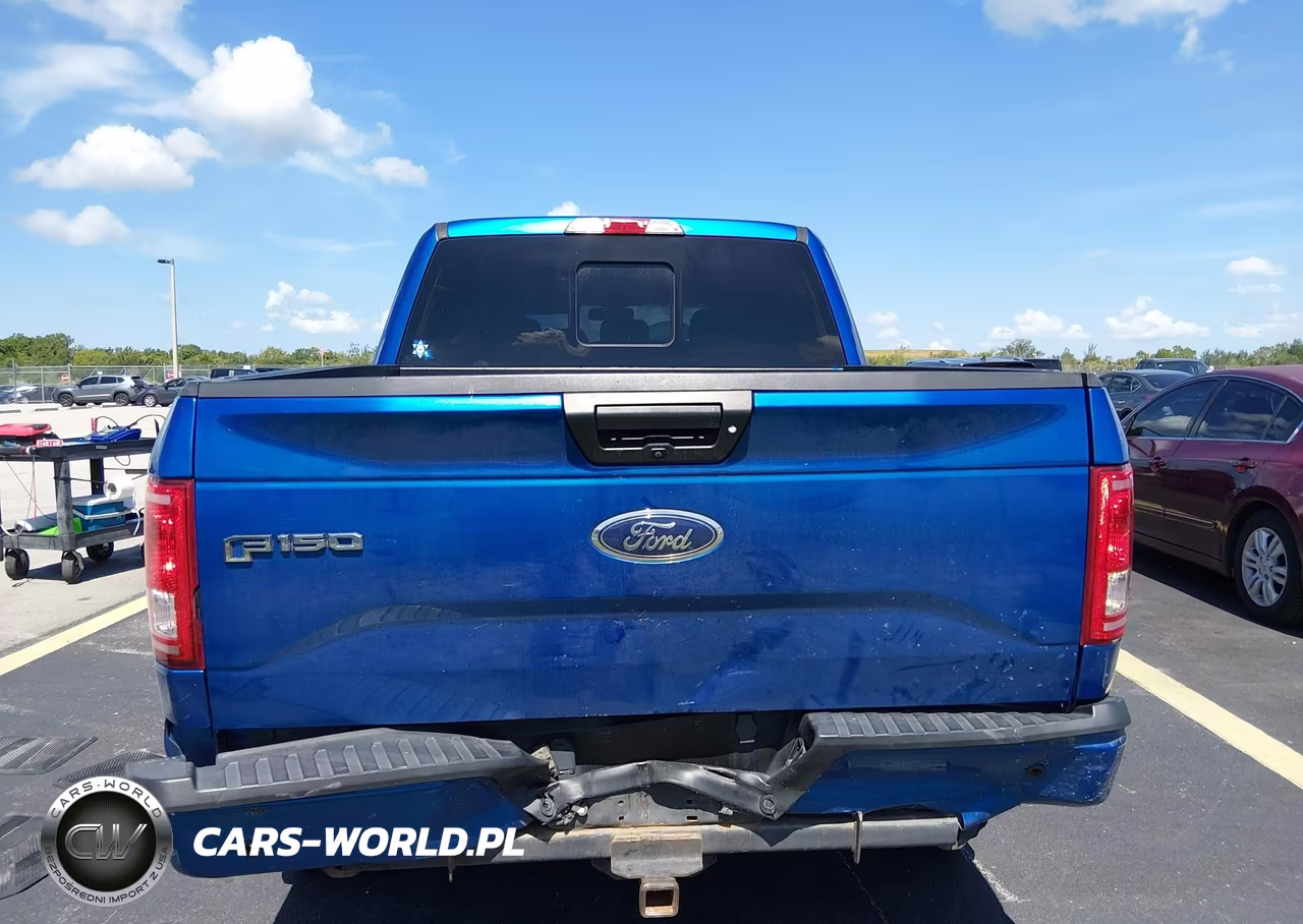 2016 Ford F-150 King Ranch-Lariat-Limited-Platinum-Xl-Xlt VIN:1FTEW1EG6GFD12167 - 16
