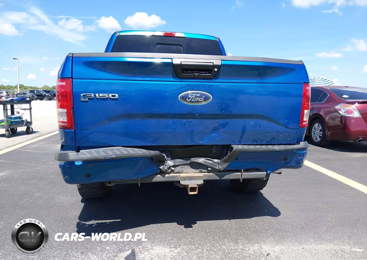 2016 Ford F-150 King Ranch-Lariat-Limited-Platinum-Xl-Xlt VIN:1FTEW1EG6GFD12167 - 6