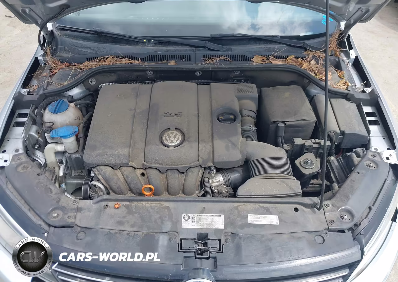 2013 Volkswagen Jetta 2.5L Se VIN:3VWDP7AJ1DM431461 - 10