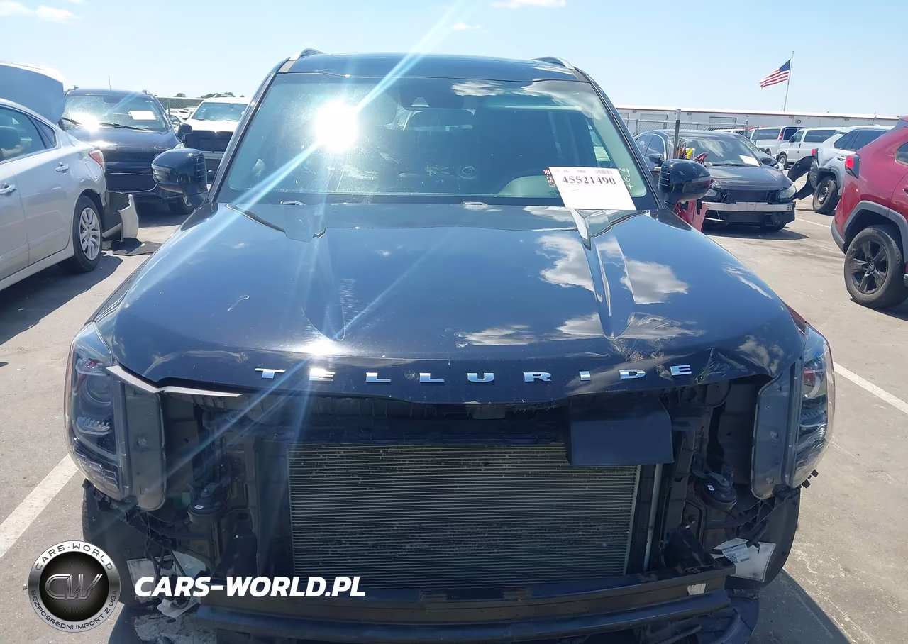 2020 Kia Telluride S VIN:5XYP64HC4LG028126 - 13