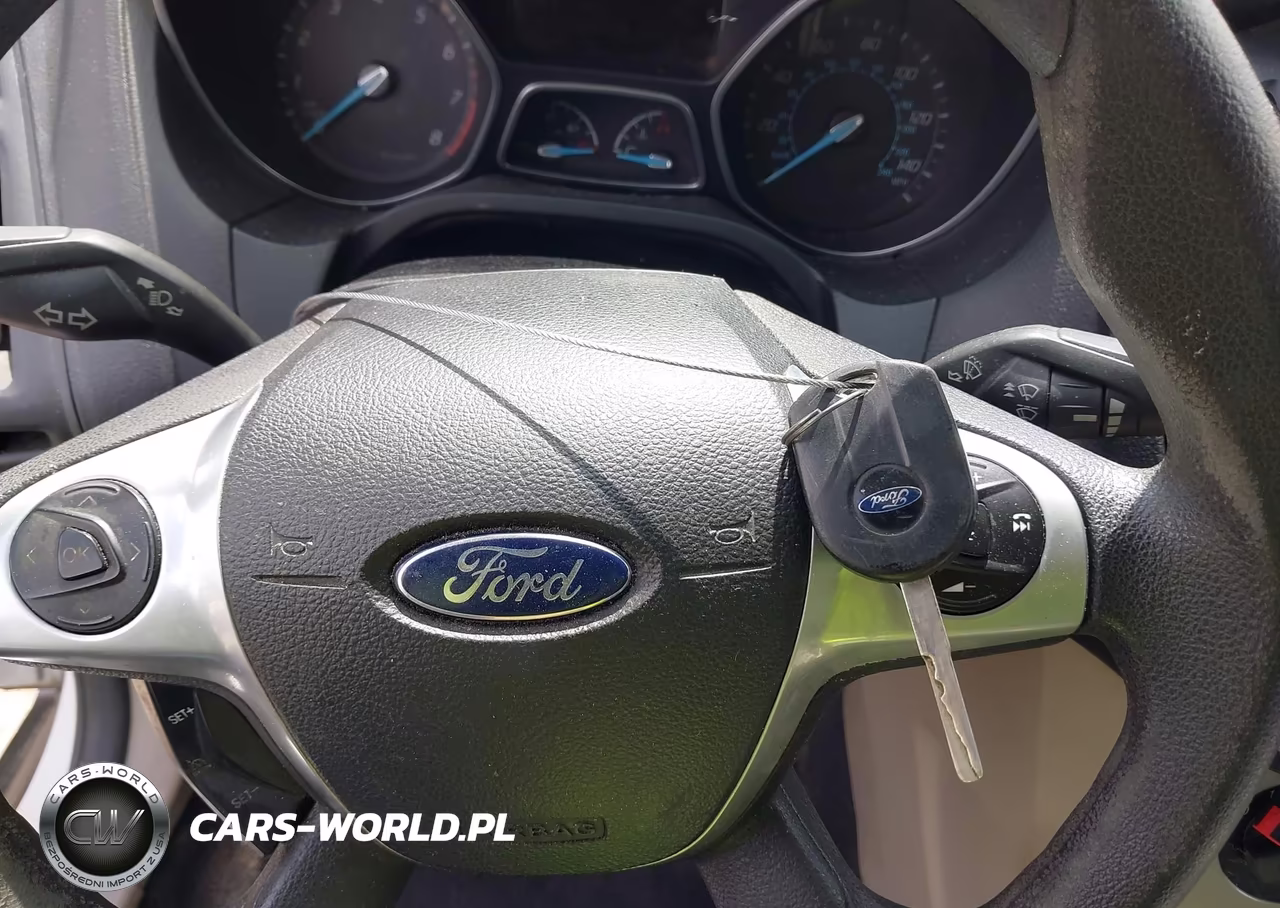 2014 Ford Focus Se VIN:1FADP3F26EL163111 - 11