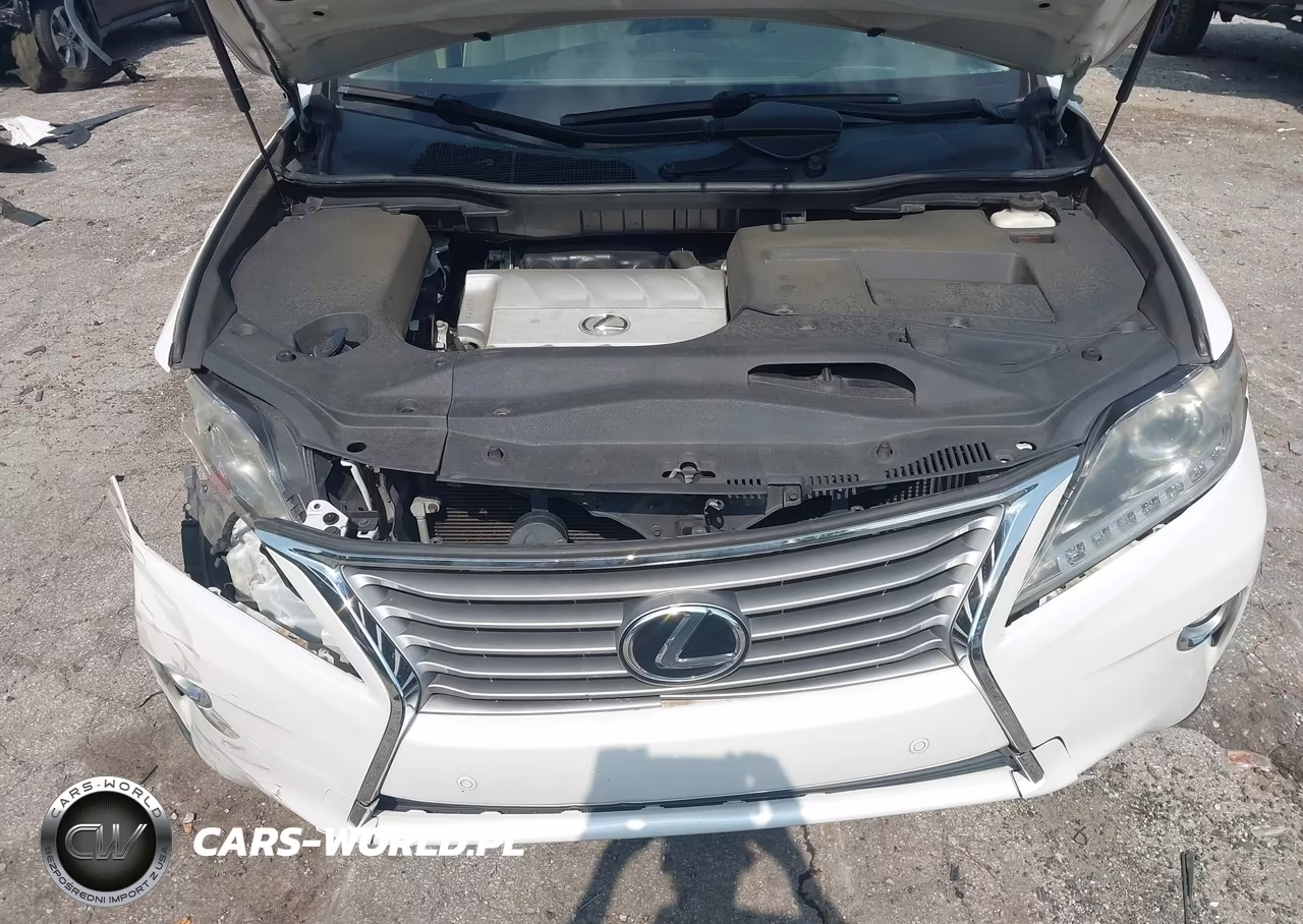 2013 Lexus Rx 350 VIN:2T2ZK1BA2DC124422 - 10