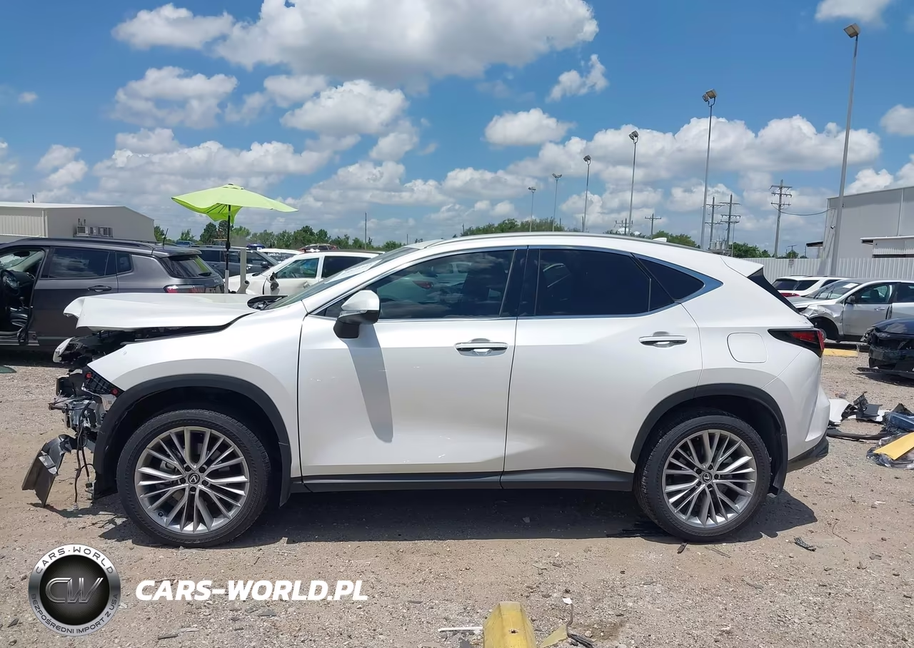 2025 Lexus Nx 350 Premium VIN:2T2GGCEZ0SC065812 - 15