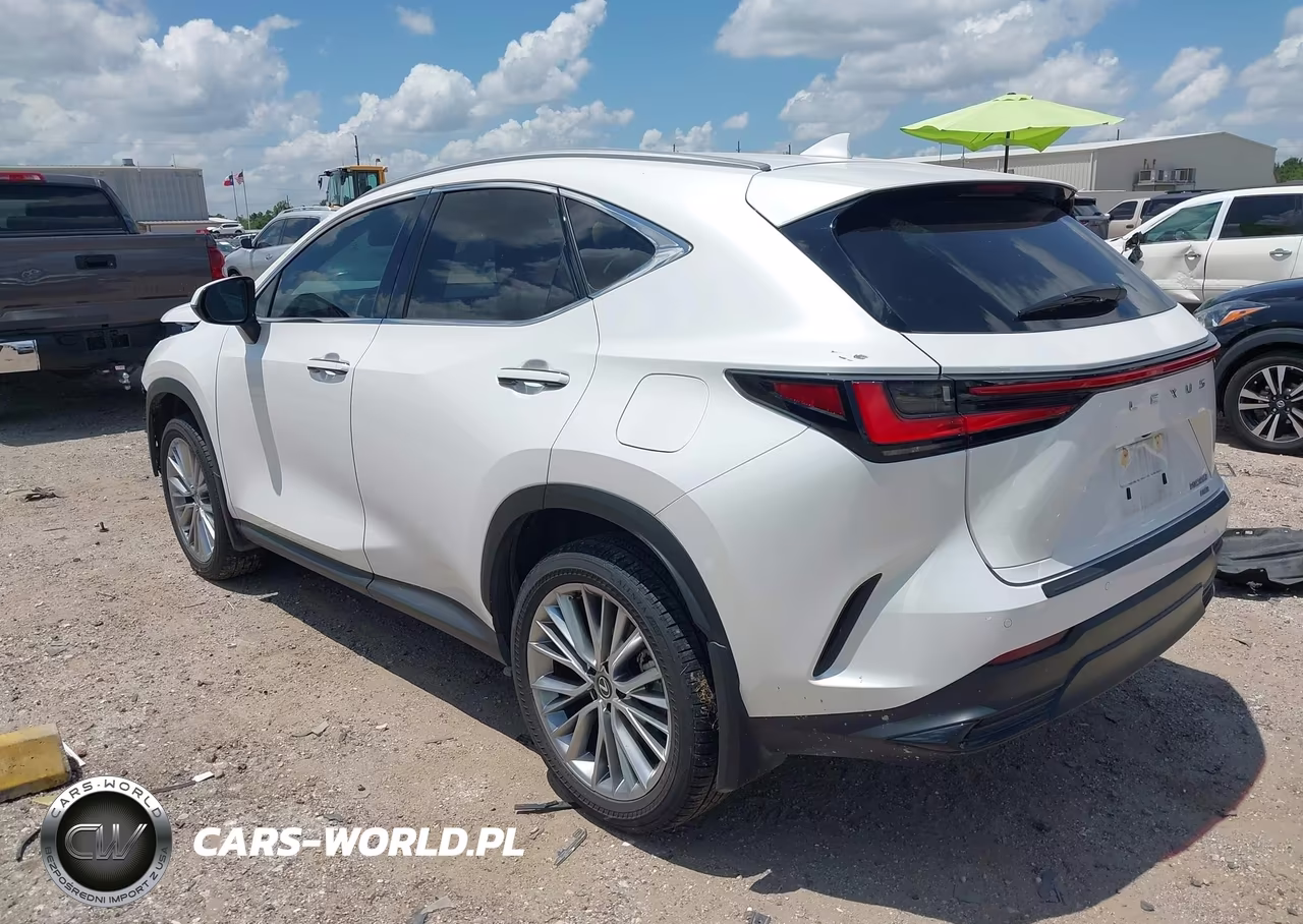 2025 Lexus Nx 350 Premium VIN:2T2GGCEZ0SC065812 - 3