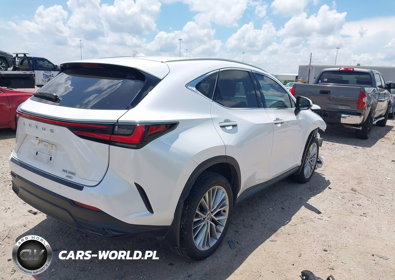 2025 Lexus Nx 350 Premium VIN:2T2GGCEZ0SC065812 - 4