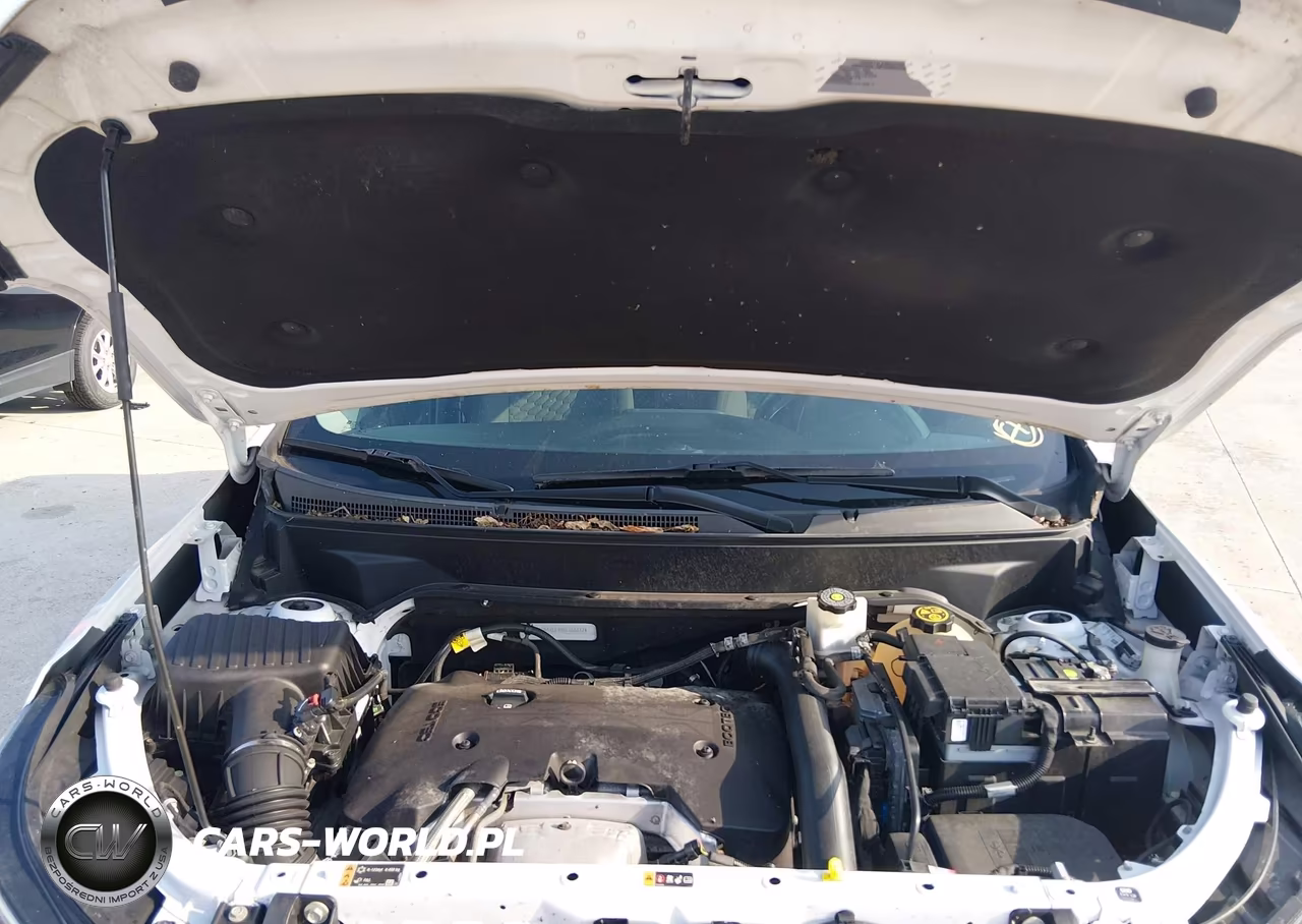 2019 Chevrolet Equinox Lt VIN:3GNAXLEX4KL166817 - 10