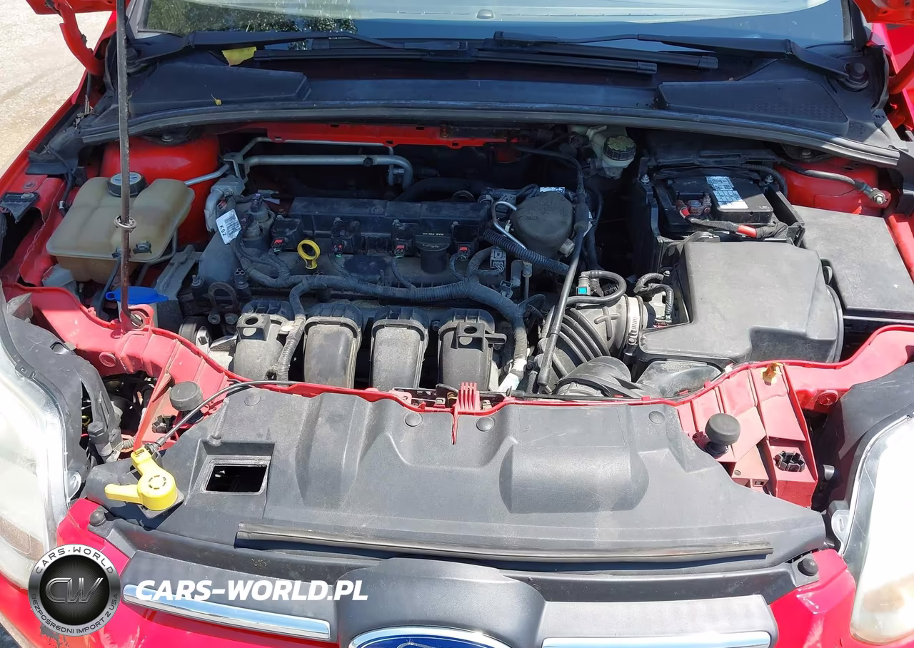 2013 Ford Focus Se VIN:1FADP3F28DL333614 - 10
