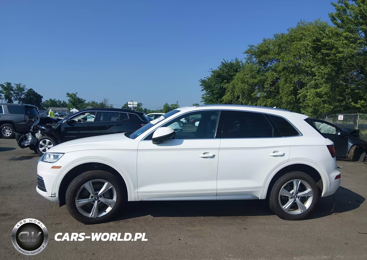 2020 Audi Q5 Premium Plus 45 Tfsi Quattro S Tronic VIN:WA1BNAFY3L2019819 - 14