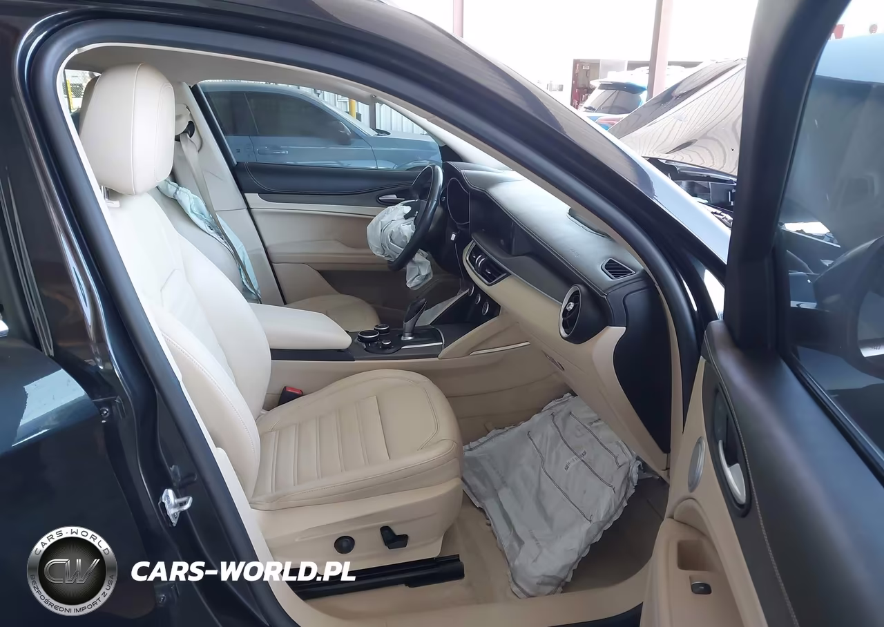 2019 Alfa Romeo Stelvio Ti Lusso Awd VIN:ZASPAKBN0K7C49321 - 5