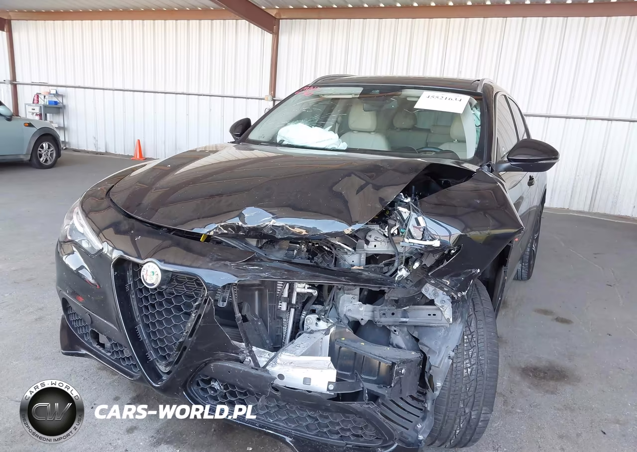 2019 Alfa Romeo Stelvio Ti Lusso Awd VIN:ZASPAKBN0K7C49321 - 6