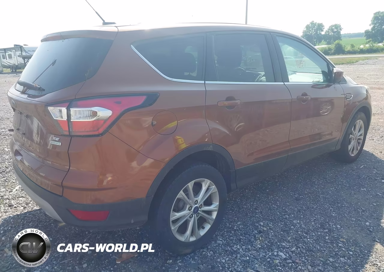 2017 Ford Escape Se VIN:1FMCU0GD9HUD67439 - 4