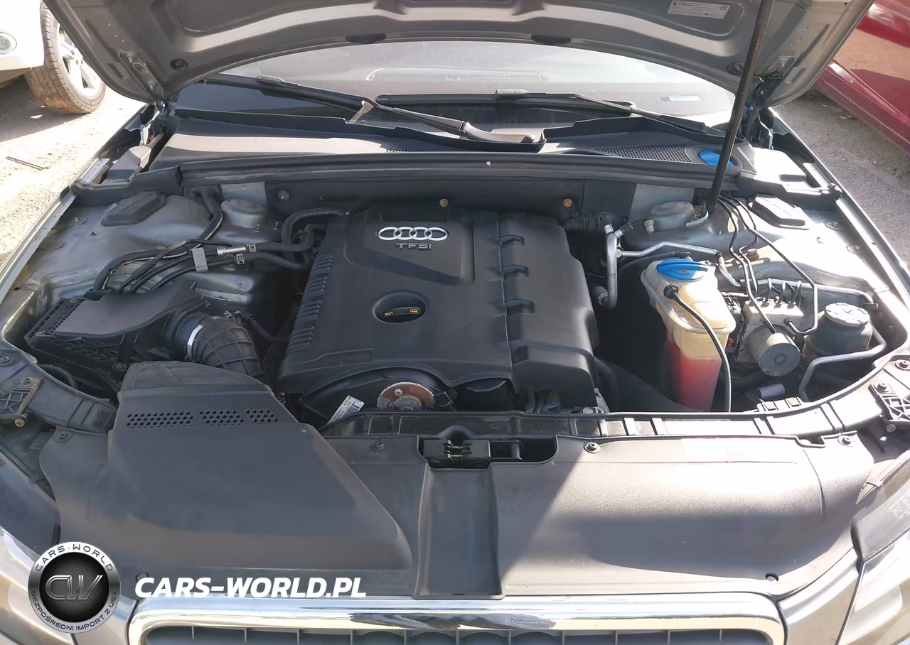 2010 Audi A4 2.0T Premium VIN:WAUFFAFL8AN044460 - 10