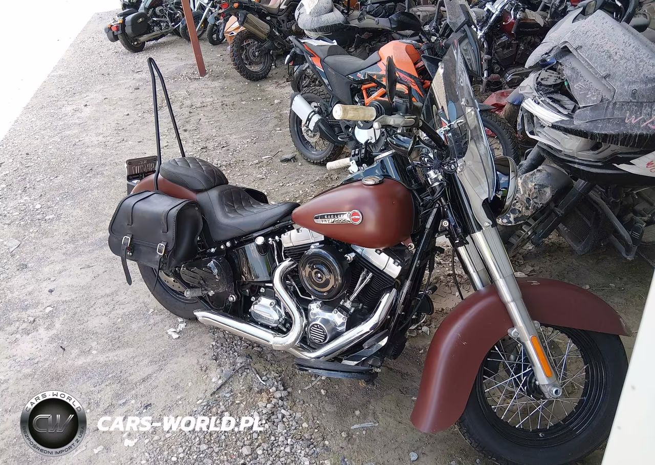 2017 Harley-Davidson Fls Softail Slim – zdjęcie 1 z 13