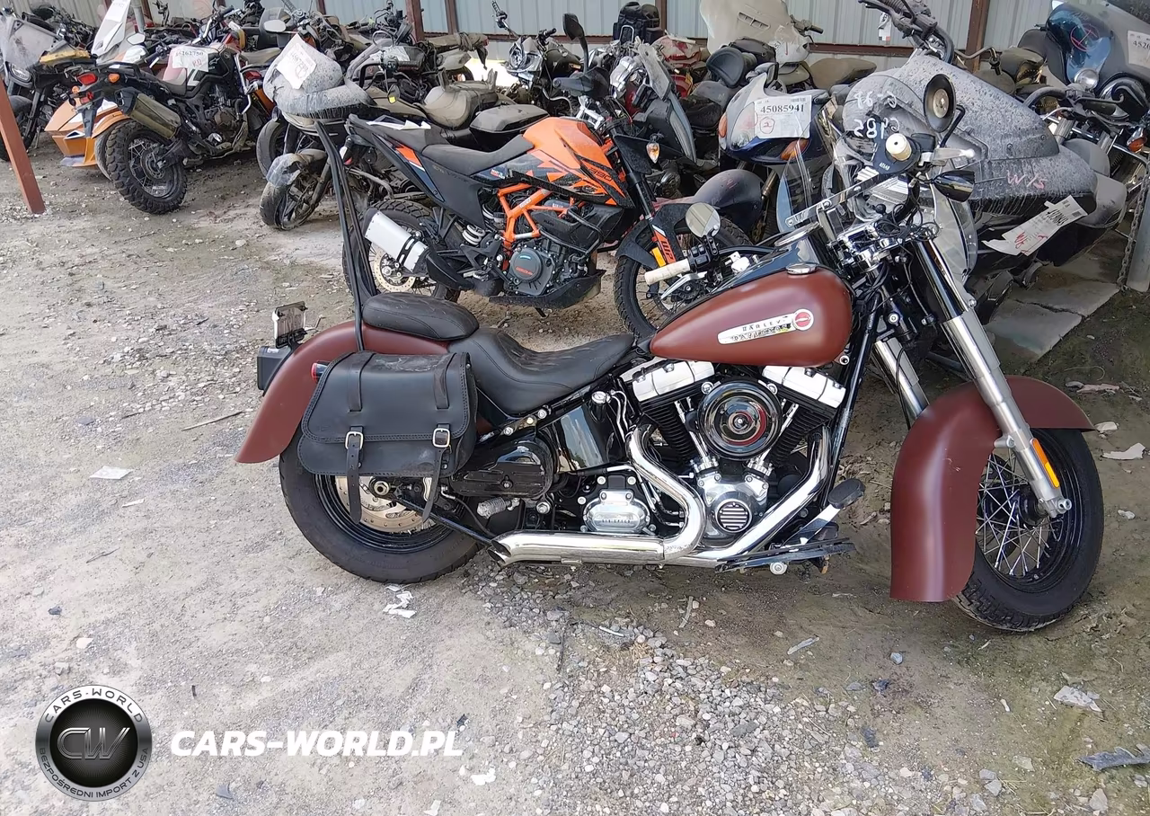 2017 Harley-Davidson Fls Softail Slim VIN:1HD1JRV13HB026985 - 12