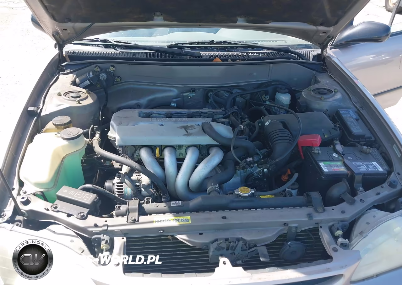 1998 Toyota Corolla Ce VIN:1NXBR12E5WZ078901 - 10