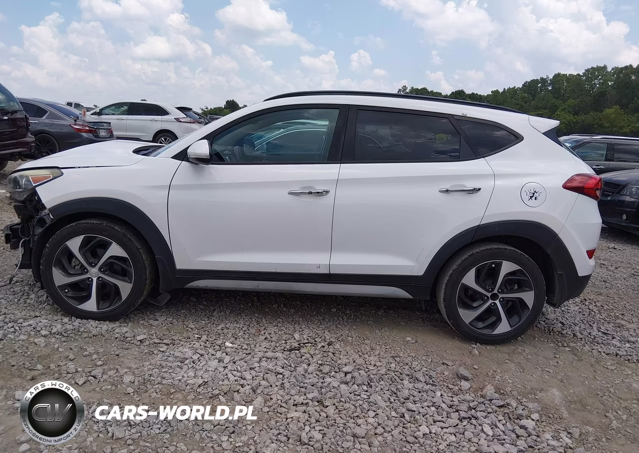 2017 Hyundai Tucson Limited VIN:KM8J33A28HU423776 - 15