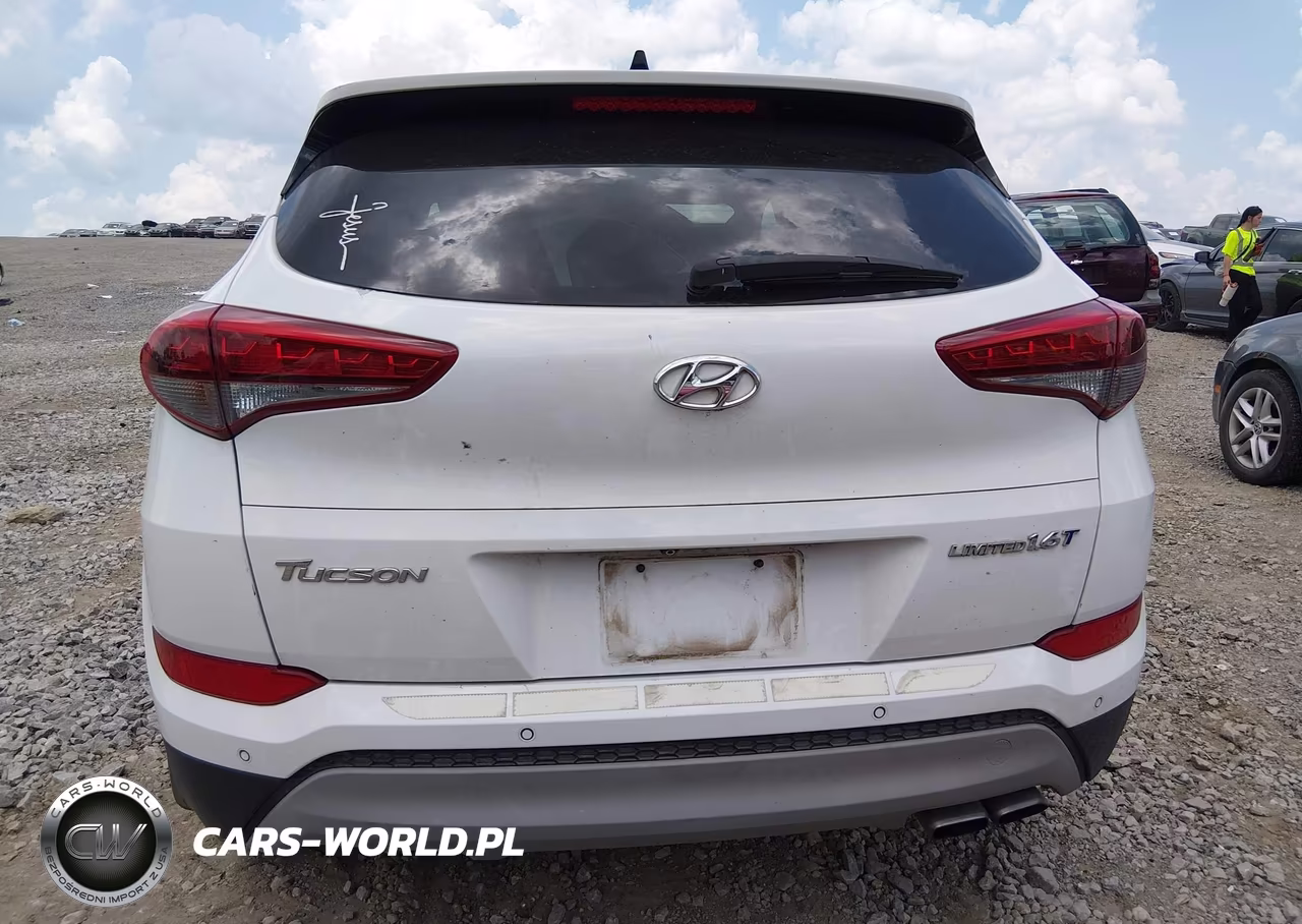 2017 Hyundai Tucson Limited VIN:KM8J33A28HU423776 - 17