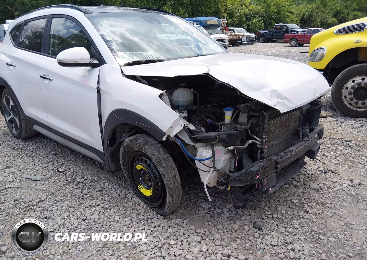 2017 Hyundai Tucson Limited VIN:KM8J33A28HU423776 - 18