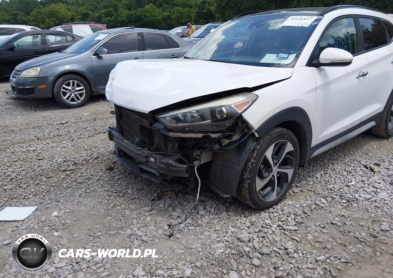 2017 Hyundai Tucson Limited VIN:KM8J33A28HU423776 - 19