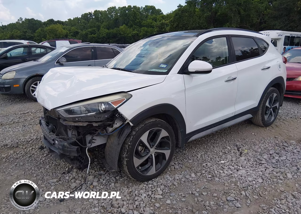 2017 Hyundai Tucson Limited VIN:KM8J33A28HU423776 - 2