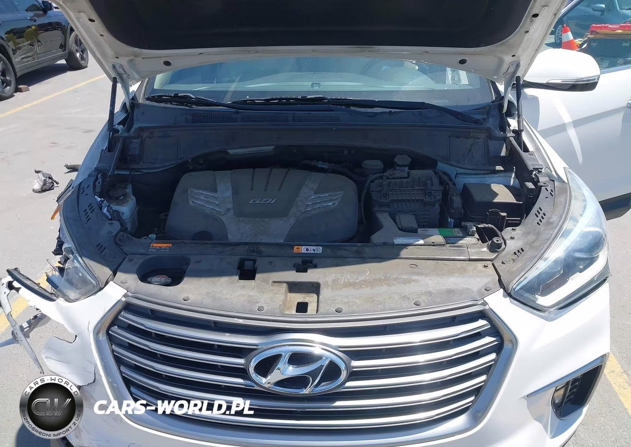 2019 Hyundai Santa Fe Xl Se VIN:KM8SNDHF2KU306151 - 10