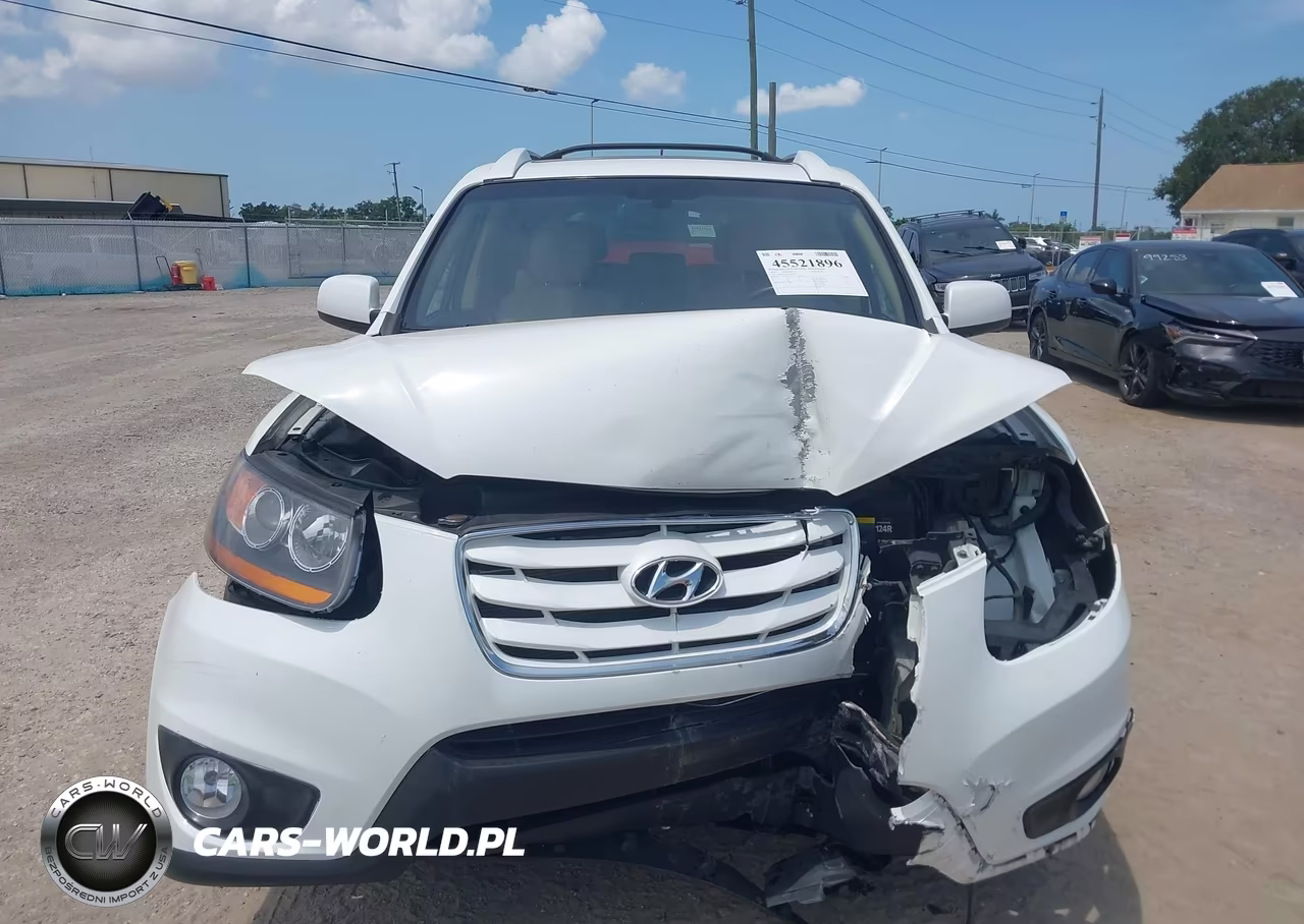 2010 Hyundai Santa Fe Limited V6 VIN:5NMSK4AG3AH376117 - 13