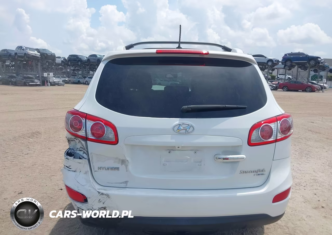 2010 Hyundai Santa Fe Limited V6 VIN:5NMSK4AG3AH376117 - 17