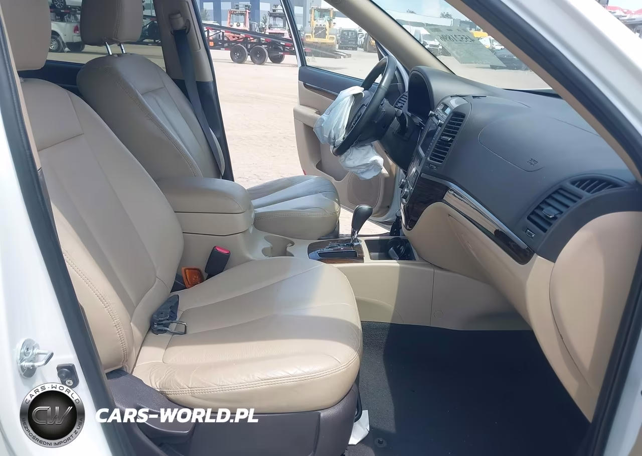 2010 Hyundai Santa Fe Limited V6 VIN:5NMSK4AG3AH376117 - 5