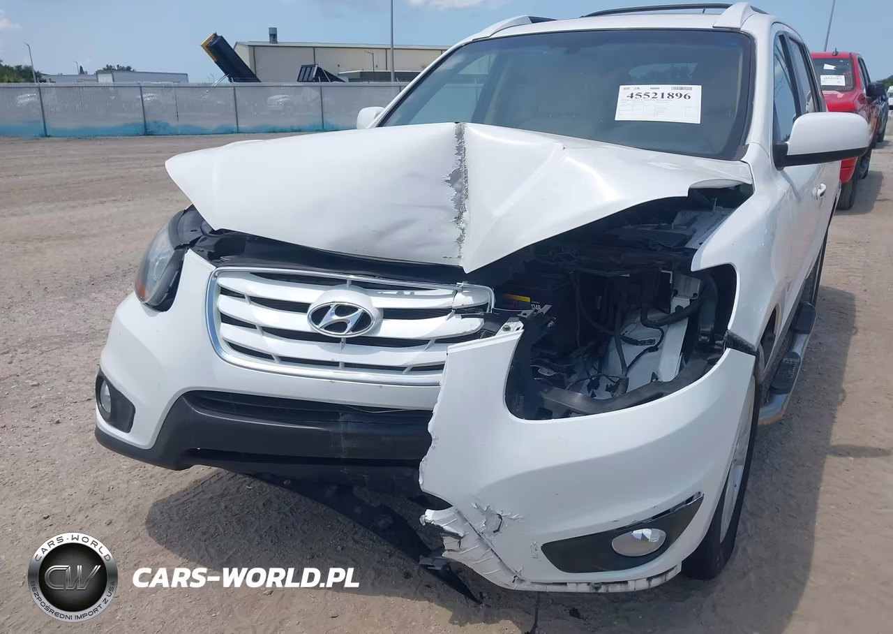 2010 Hyundai Santa Fe Limited V6 VIN:5NMSK4AG3AH376117 - 6