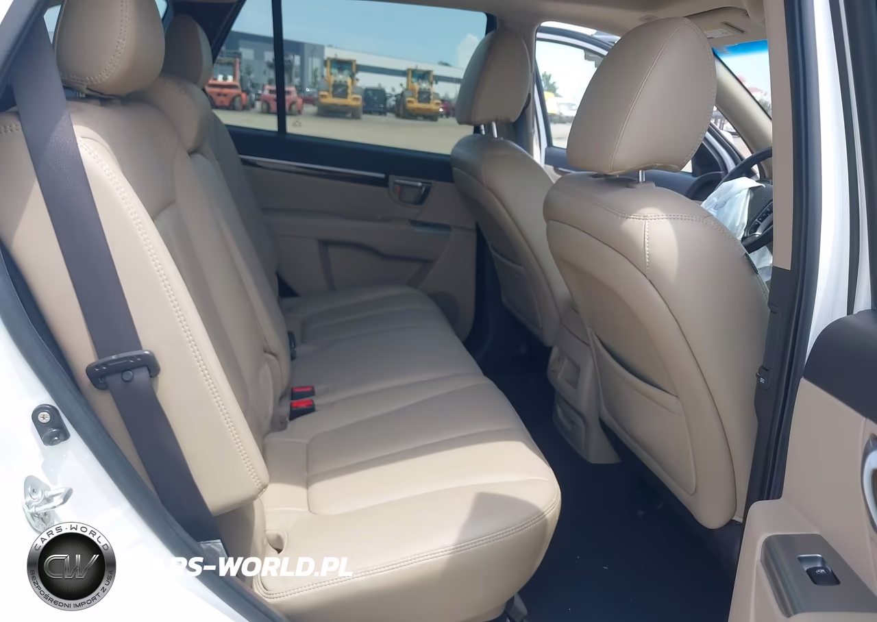 2010 Hyundai Santa Fe Limited V6 VIN:5NMSK4AG3AH376117 - 8