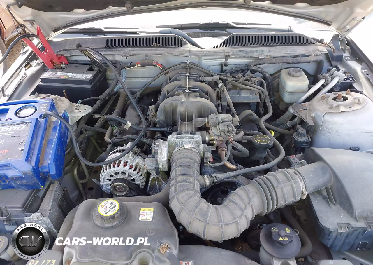 2006 Ford Mustang V6 VIN:1ZVFT80NX65200596 - 10